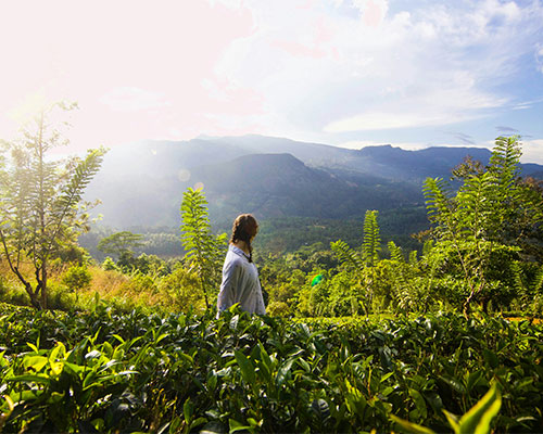 Knuckles, Sri Lanka