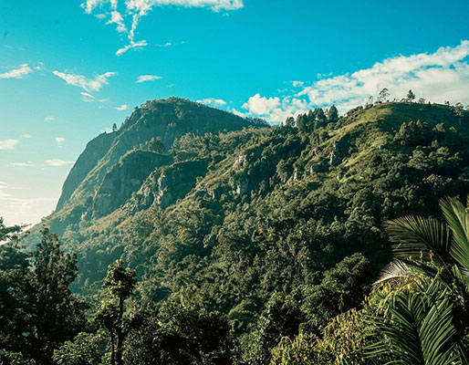 Ella Rock- Sri Lanka