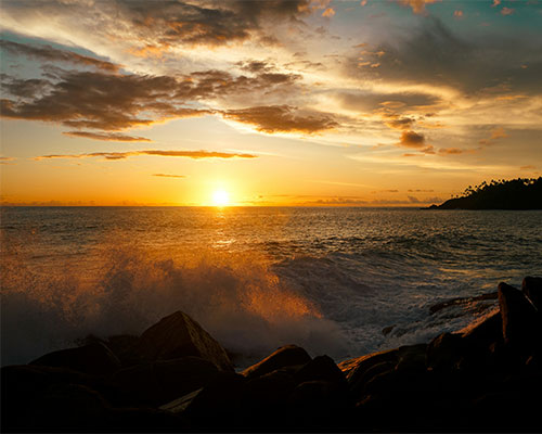 Mirissa Beach- Sri Lanka