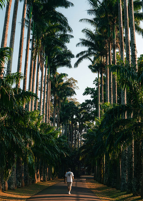 Peradeniya Botanical Garden- Sri Lanka