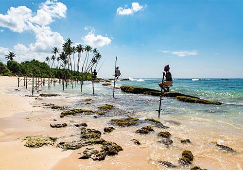 Mirissa- Sri Lanka