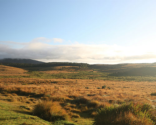 Horton Plains National Park- Sri Lanka