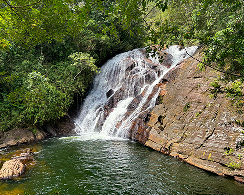 Brahmana Waterfall at the sinharaja Rainforest