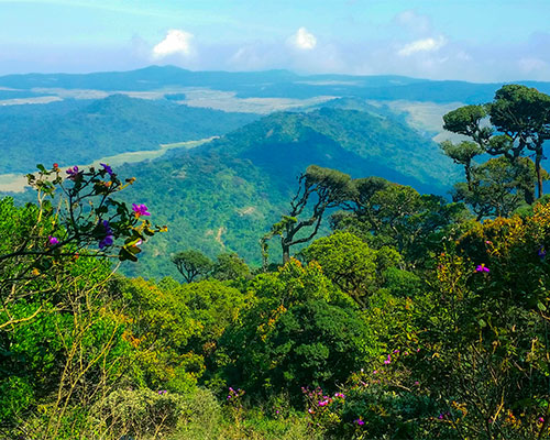 hortain Plains- Sri Lanka